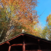 �ճ���ɽ �����ŵ�����