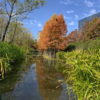 ȥ������