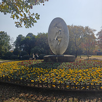 ������ɽ��԰�ĺ�Ҷ