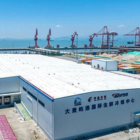 ������������ɹ�¼�룡