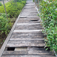 ������5��6���̨�����ù㳡С�����������