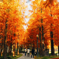 100%��Ƭ�������Щ�����򿨵㣬��Get����