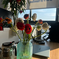 ������������ͣ������