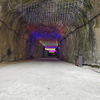 ������̶����ɭ�ֹ�԰