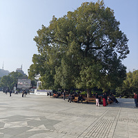 ���ٺ�(��)