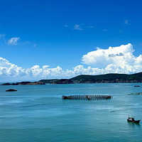 120.8%��̨����Щ��ĿͶ�ʳ���ȼƻ�