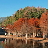 �ͼ�һ����˾�