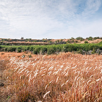 ��������ɽ��ɫ