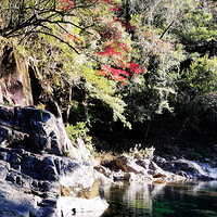 ��2025�μǡ���Ҷ��ˮ����ɽ