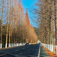 ����Խ��Խ��---�ٺ�С֥�Ķ���ů��