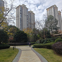 �������2026����ҵ�ѡ�