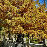 ̨�ݺ�ɼ�֡������ġ��㣺�������ⳬȼ��ů��ʢ�磡