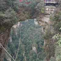 ͦ��������Ԭ�ҽ�Ѱ��