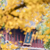 ������ʫ·�����������