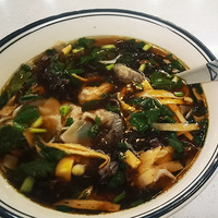 �������ʲô����óز˳����´󼯵����