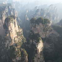 ͦ������������կ���żҽ�����