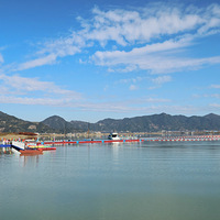 �����ķ�����