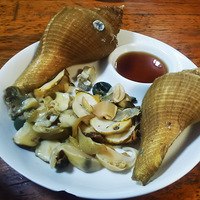 �������ʲô������ƤƤϺʯ����������