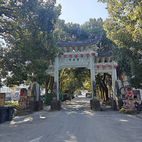 ��������ɽ�Ʒ���