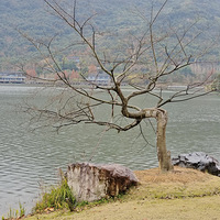 ��������ޡ�̨��ֲ��԰