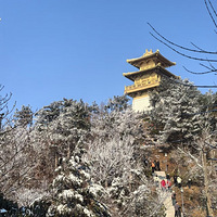 ѩߵ����:����ʫ���ѩ���������½�