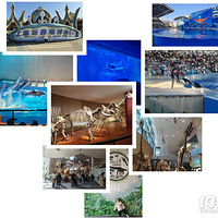 ��������ޡ��Ϻ���������԰����Ȼ�����������