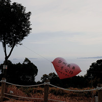 ���ǽڼ���̨��һ�Ź�·�Լ��컨��