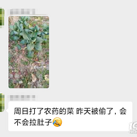 ����ũҩ����˶���͵�ˣ���˵˵���Ǽ��б�͵��ʲô