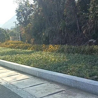 ̨���н��ٰ쿪Ҥ�ڣ�ǧ��Ҥַ����ʮ��