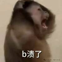 ��˾�������Զ���ţ������������Ҳ���������һ�㣡