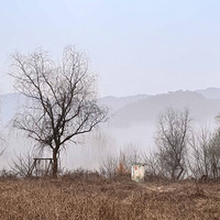 ���ж���ζ��(��̶ˮ��)