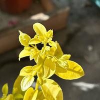 ��̨�ݻ���Ⱥ