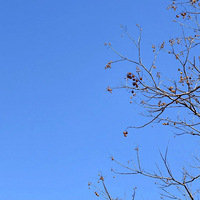 ���ҽ��£�����10�����ϣ���������Ӱ��̨��