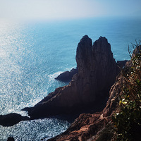 ��2026�μǡ��´�µ�����