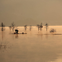 ���ж���ζ��(��̶ˮ����)