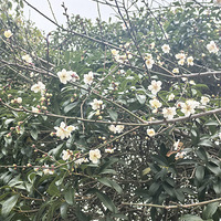 ��������ޡ����㣬��ի����÷