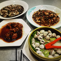 �������ʲô����ʨ���Ǵ��Źǣ����򣬺�������