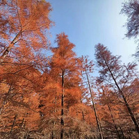 ����9ʱ44�֣�̨����ʽ���롭��