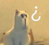 �����ײͲ��ǡ����Ѵ̿�֮������Ϊ��ʡǮ����þ��ˡ����С�