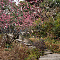 ��������ɽ���д�