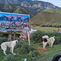 �½����ٶ���