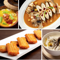 2026�����������̨���ļ��ϰ�