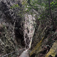 ��ʲô�����¸�����ɽ˵