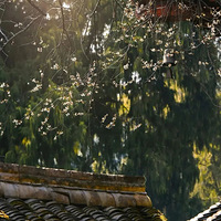 ��÷���ˣ����ʱ�ڵĹ����£�����ֵ��ר�̱�����