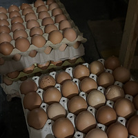 ʮ���շ�˵�