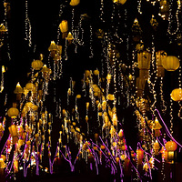 ���������ҵ���ζ�ˣ�͵͵���������µƻ���˶��پ�ϲ