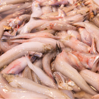 �ո߷峬2000���������������г���ǰ�ɹ�������