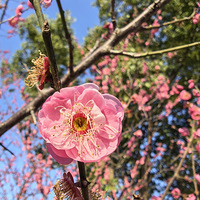 �������ķ羰Ҳ�Ǳ��з�ζ