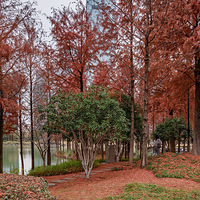 ��ͺϹ�԰��ɽ��԰