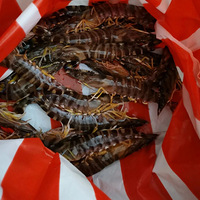 �����ˣ�̨�ݺö�����û����ȥ�ˣ�����ȫ��������ҪǮһ��